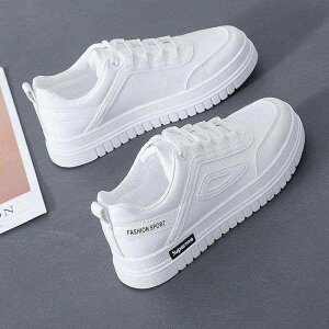 Xj[J[ fB[X  [Jbg JWA ₷ ig v EhgD     