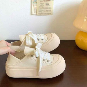 Xj[J[ fB[X  [Jbg ^C X|[c z y ɂ ₷ ₷ JWA tďH~  