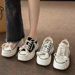 Xj[J[ fB[X  LoX V[Y gAbv r TCY 傫TCY JWA    x[W  sN