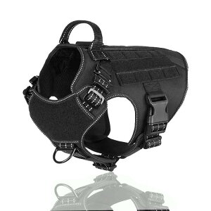 hbOEFA pn[lX ~^[ Pp xXg ^ ^  iC ubN J[L