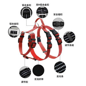 ybgpăn[lX p H^ _u \ ˍޕt ɂ Up  ^ ^ ^ F   O[   ~gF F(x2)