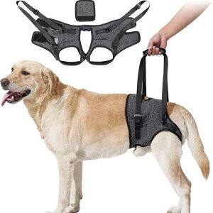 pn[lX Vp s⏕n[lX 둫p Lk[ht |GXe Up O[