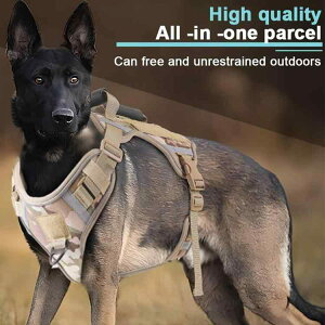  n[lX [h Zbg ^ ^  xXg [v ʕ |GXe