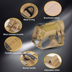 pn[lX ^ ^ ɂ  pI xXg  fU[gCG[ [Ybh A[~[O[ ubN iC Lk\