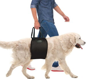 pn[lX p n[lX s⏕n[lX グ ⏕ ubN(x100)