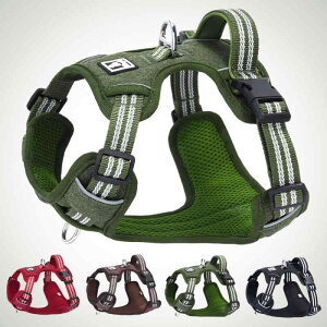  n[lX [h ^ ^ ^  xXg [v |GXe ʋC bV     U o(x5)