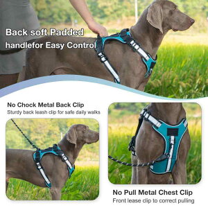 pn[lX ^ ^ ybgp xXg  Ԕ ɂ  Up op