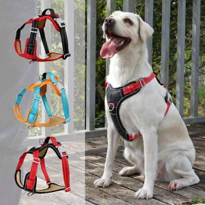 ybg [v n[lX ^ ^  ˍޕt h Up op   IW J[L