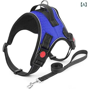 pn[lX ^ xXg  bV ɂ U y u[ ubN bh IW p[v sN O[