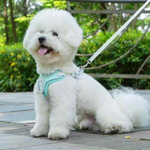 ybgpăn[lX [h Zbg p [v ʋC \ ɂ z ^ ^ U o IW sN ubN bh CG[ u[ zF