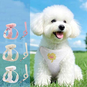 n[lX p hbOEFA t ʋC UR hJ ɂ ybgp  ^ ^