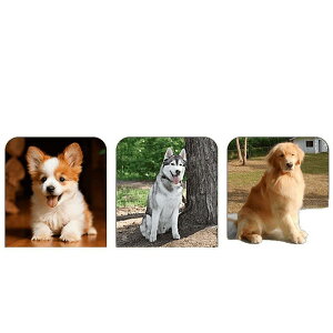 p[h p [v ~ ^ ^ ^ Lk U g[jO iC L  ϋv