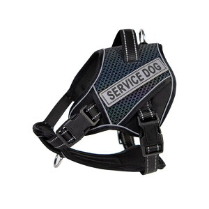 păn[lX ^ ^ ^  xXg Č TGh R[M[  |GXe ˍ F   