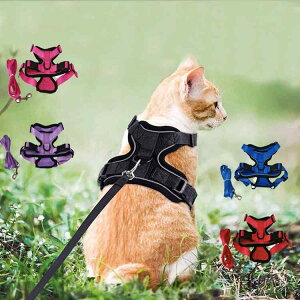 Lpi Lp[v Lp[h Lpn[lX Lp bV ^ ʋC U o \ ^L ^L 킢  bh u[ sN ubN p[v