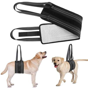 p s⏕n[lX 둫p p Up nrp V Q T|[g Ki ubN S L