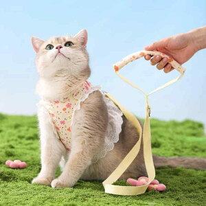 L [h Lp n[lX L  L UЂ ^L ɂ L [v ʋC bV 킢 ԕ S