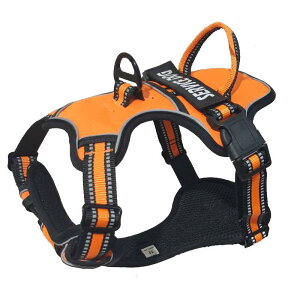 pn[lX [h ^ ^ ^ [v xXg  U op iC ubN bh O[ u[ p[v IW sNn