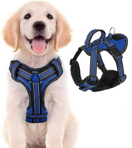 pn[lX [h Zbg ^ ^ ^ bV ʋC K Ԕ U o