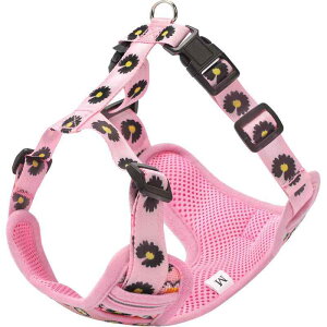 L Lp n[lX [h Zbg  fCW[  킢 L pi  U o ^ L   L p xXg L  bV ʋC y \ sN ubN(x10)