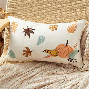 �N�b�V�����J�o�[ �����J�o�[ ���z �A���ԕ� �h? �󉩐F 45×45cm 30×50cm �\�t�@ �ԗp �C���e���A �z�[���f�R���[�V����