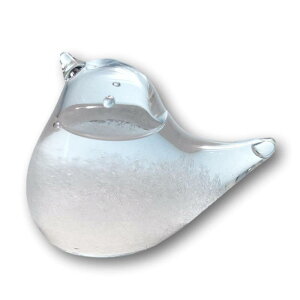 fullion �X�g�[���O���X Storm Glass