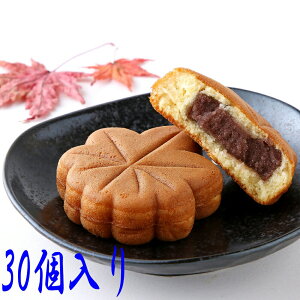 ݂\ p 30i10×3܁jӂ gt܂񂶂イ gt\ ݂܂񂶂イ hV̓ o^Cf[ zCgf[ ``R 