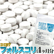 ダイエット フォルスコリ 約4ヵ月分 240粒 サプリ ダイエット サポート サプリ メール便 送料無料