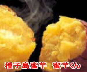 q 10kg qY  Ε@N MtgyyMt_̂z܂ q [/q [