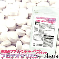 タイムセール！メガ盛り★プロテオグリカン約4ヵ月分120粒 1000円ポッキリ 送料無料　サプリ　サプリメント