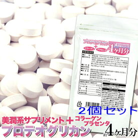 メガ盛り★プロテオグリカン約4ヵ月分120粒x2個セット メール便 送料無料　サプリ　サプリメント