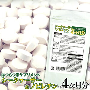 K聚V[N[T[mr`Tv 4 120 1000~|bL [  mr` Tv mr` Tvg V[N[T[ V[NA[T[