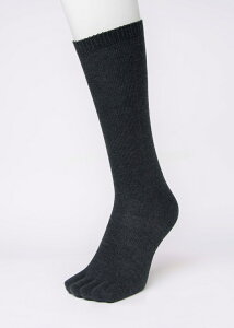 yz2Zbg C fB[X nC\bNX 5{w\bNX Zbg  V[Nbg5{w\bNX { 5{wC ܖ{w\bNX ܖ{wC \bNX Ȃ 