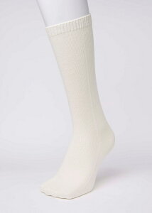 yz2Zbg C I[KjbNRbg fB[X nC\bNX 5{w ܖ{w 5{w\bNX V[Nbg5{w\bNX { \bNX 5{wC ܖ{w\bNX ܖ{wC 