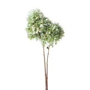 s~bhAWTC Xet i`O[ vU[uht[   Rf CeA   ӏ AWg rO Vbv nhCh