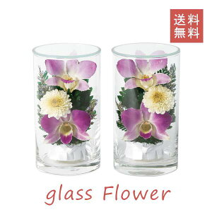 OXt[   ~ ~ V~ Glass Flower 2Zbg ފ hV̓  H d  RpNg hC vU[uht[ 