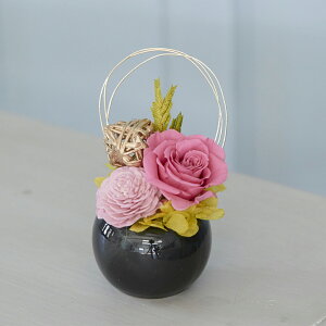 ȃAW vU[uht[ S4F AW \[[t[ ی^ [Y a v[g j  Mtg  CeA o AWg P[Xt 