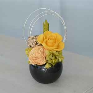 ȃAW vU[uht[ S4F AW \[[t[ ی^ [Y a v[g j  Mtg  CeA o AWg P[Xt 