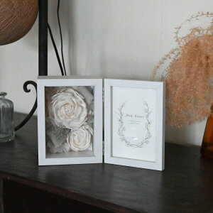 ԂƎʐ^ \[[t[ zCg `  \t[ Rf tHgt[ CeA ݑ AWTC XJX   rO v[g Mtg a j 