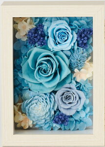 tHgt[ vU[uht[ AW S5F ʐ^  o  CeA GKg AWg  { fBXvC  vU[uh t[ ܂ ܂肽