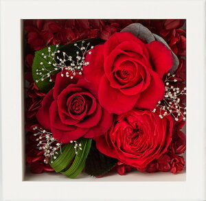 ʐ^ AWg vU[uht[ S3F  o  ` p^ u^ CeA GKg AW fBXvC  vU[uh t[ ܂ ܂肽߂ 