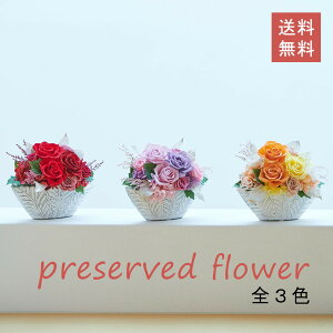 AeB[N AW vU[uh t[ S3F  o [Y  CeA GKg AWg fBXvC  vU[uht[ i` ؂₩ Mtg 