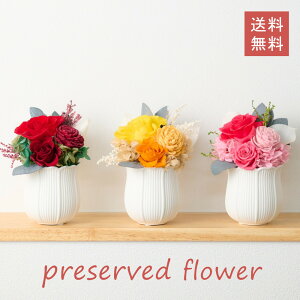 vU[uht[ AWg S3F  o  RpNg CeA GKg AW  { fBXvC  vU[uh t[ i` ؂₩ i M