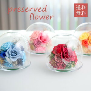 KXh[ AW vU[uht[ S4F o [Y e[uR[fBl[g 傫 ۂ h[ KX u  CeA AWg IV GKg  Mtg 