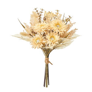 e ~bNXu[P AWg ԑ S3F  } AW A[eBtBVt[ AW j a ̓  CeA  u[P GKg   r