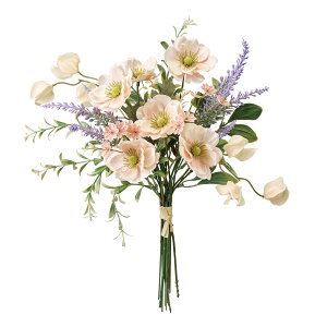  All x_[ u[P ԑ S3F  AW A[eBtBVt[ AWg j a ̓  CeA  ~bNXu[P GKg  