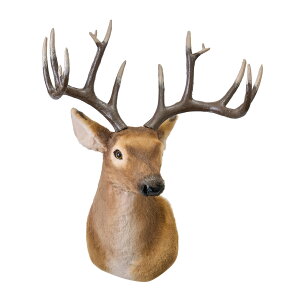 Ǌ| giJC wbh fBXvC u uE CeA rO  IuWF  Ǐ Aj} A CfBAwbh X 