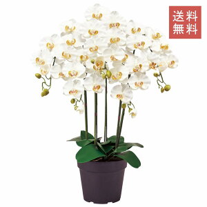 Ӓ t@m  3{ sN A[eBtBVt[ G}H  GKg j Mtg JXj CeA 蕨 CeA fBXvC   