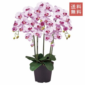 Ӓ t@m  3{ sN A[eBtBVt[ G}H  GKg j Mtg JXj CeA 蕨 CeA fBXvC   