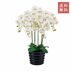 Ӓ sAI[Lbh  5{ zCg t@m A[eBtBVt[ G}H  GKg j Mtg JXj CeA 蕨 CeA fBXvC 