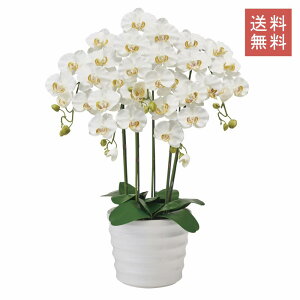 Ӓ sAI[Lbh  5{ zCg t@m A[eBtBVt[ G}H  GKg j Mtg JXj CeA 蕨 CeA fBXvC 